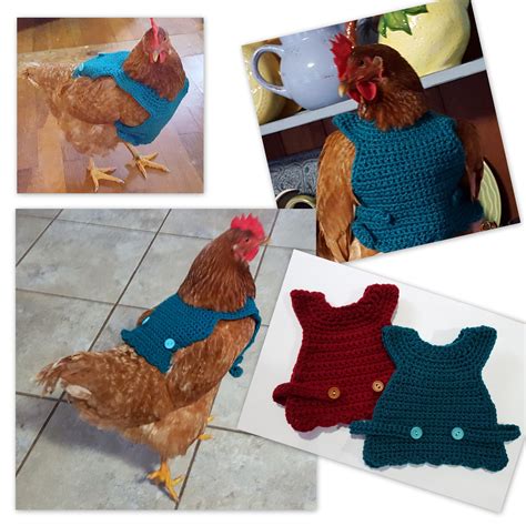 Chicken Sweater Crochet Pattern – Jasmine Art Works