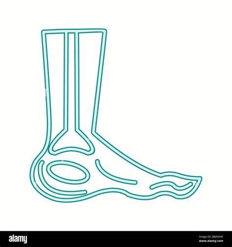 Beautiful Foot Vector Line Icon Stock Vector Image And Art Alamy