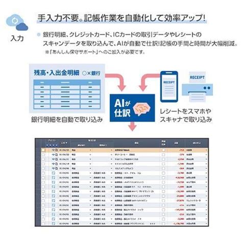 弥生 弥生会計 24 プロフェッショナル 2ユーザー クラウド 通常版インボイス制度・電子帳簿保存法対応 4582723970045