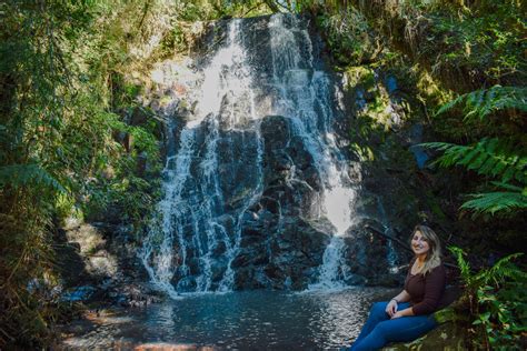 Conheça o Parque das Araucárias em Passos Maia