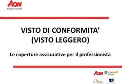 Visto Di Conformita Visto Leggero Le Coperture Assicurative Per Il