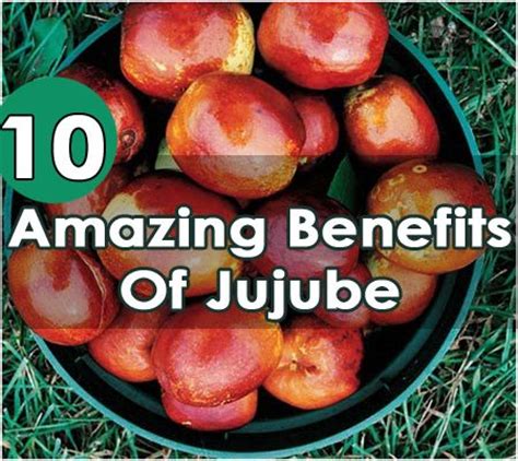 Amazing Benefits Of Jujube How To Use It Side Effects Fruit