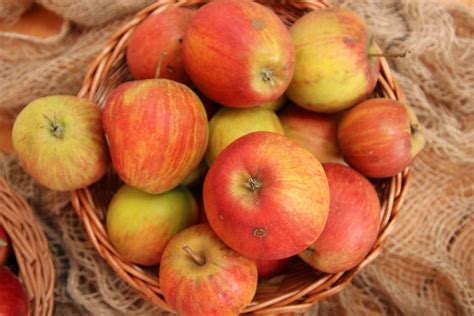 Apfelsorten Zum Backen Der Beliebteste Backapfel