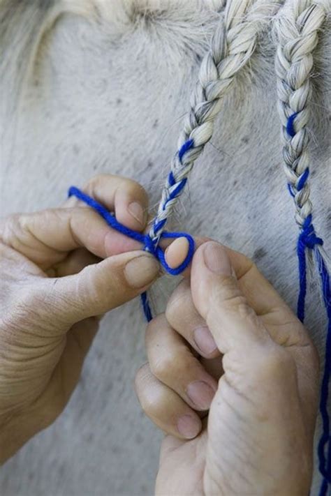 30 Amazing Horse Tail Braids Ideas to make Your Friends Jealous - Tail ...