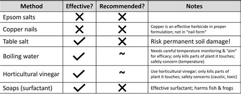 Using Herbicides Safely Around Trees Pests In The Urban Landscape