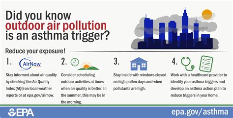 Asthma Triggers Infographics AsthmaCommunityNetwork Org