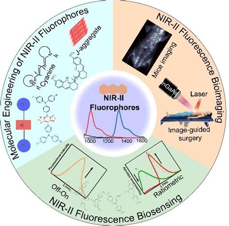 Angew Chem Int Ed 近红外二区荧光染料分子设计促进生物医学检测