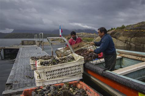 Se abren postulaciones al Diplomado Adaptación al Cambio Climático en