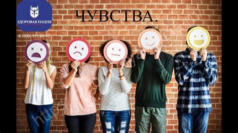Чувства.🤔 - YouTube