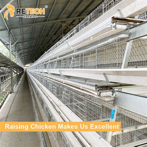 Fully Automatic A Type Battery Chicken Layer Cage For Poultry Farm