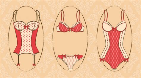 Lingerie Vectors Royalty Free Vector Lingerie Images