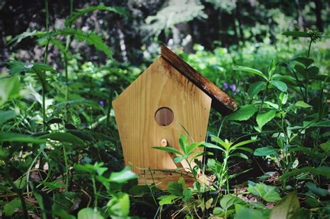 Premium Photo Close Up Of Birdhouse On Field