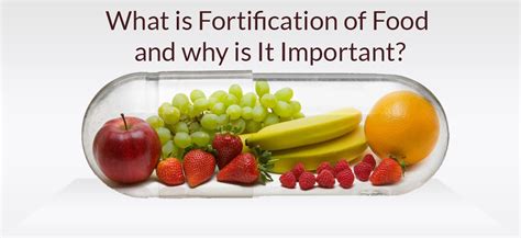 What Is Fortification Of Food And Why Is It Important Tradersintel