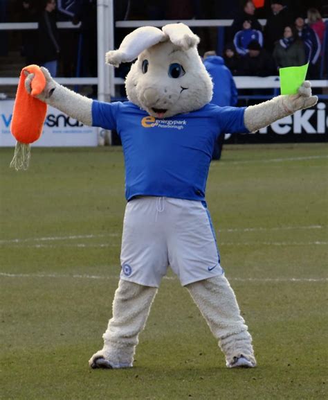 Peterborough Utd mascot Peter Burrow - creative commons licence Jon ...