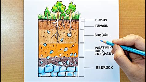 Soil Profile Diagram How To Draw Soil Profile Soil Profile And