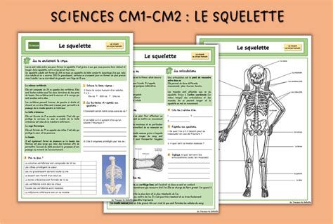 Ci Dessous Mes Fiches De Travail Sur Le Squelette Body Science Books