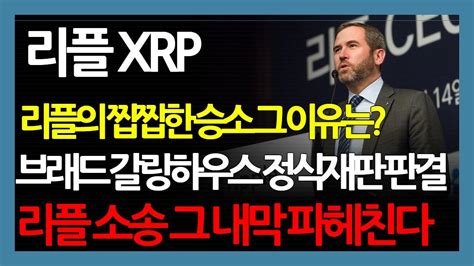 리플 Xrp 리플의 찝찝한 승소 그 이유는 브래드 갈링하우스 정식재판 판결 리플 소송 그 내막 파헤친다 Youtube