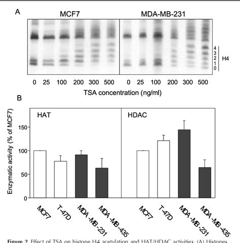 Pdf Oestrogen Receptor Cid1 Increases P21 Waf1cip1 Gene