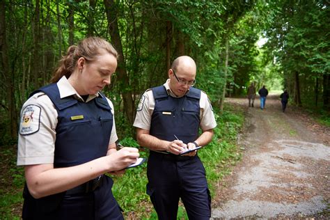 Nous Sommes à La Recherche De Gardiens De Parc Parcs Ontario