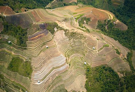 Beautiful Rice Terraces in Mu Cang Chai in Planting Season Stock Photo - Image of mountains ...