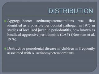 Aggregatibacter actinomycetemcomitans | PPT