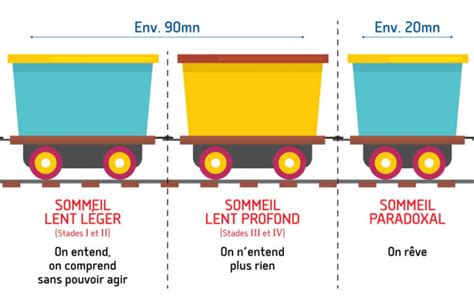 Les Diff Rents Cycles De Sommeil Dormir Avec R Cup Ration