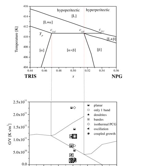 Peritectic Region Of The Phase Diagram And Calculated Microstructures