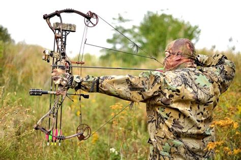 Best Compound Bow For Hunting Bow Sight Guide