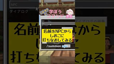 【マイクラ】召喚コマンドsummon名前もつけて召喚すると便利！？shorts Minecraft Summary マイクラ動画