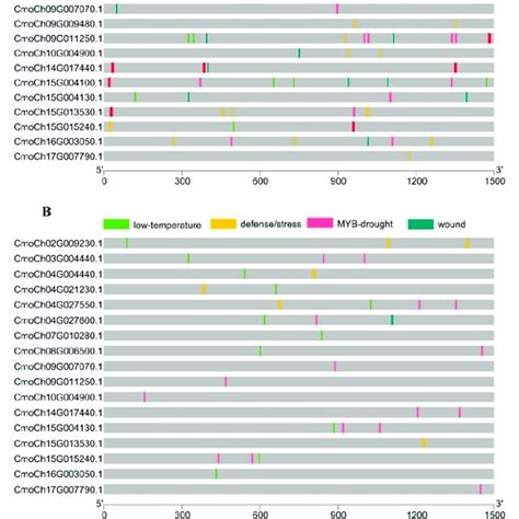 Cis Regulatory Elements Related To Hormones And Stress In Promoter