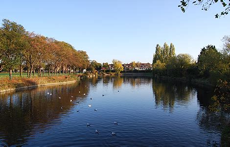 BBC - London - London Local - Redbridge canvasses votes for park