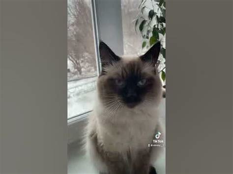 Сабинина мама😻 - YouTube