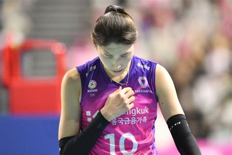 배구 여제 첫 Fa 얻었다kovo 김연경 포함 20인 Fa 공시 V리그 네이트 스포츠