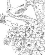 Iowa State Bird coloring page | Free Printable Coloring Pages