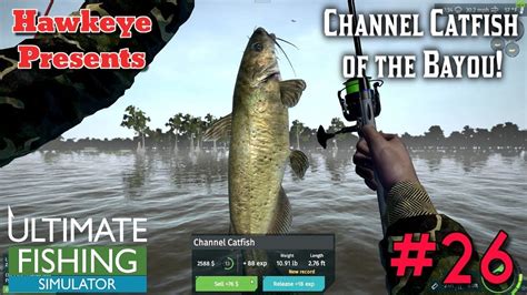 Ultimate Fishing Simulator 26 Channel Catfish Of The Bayou Channel