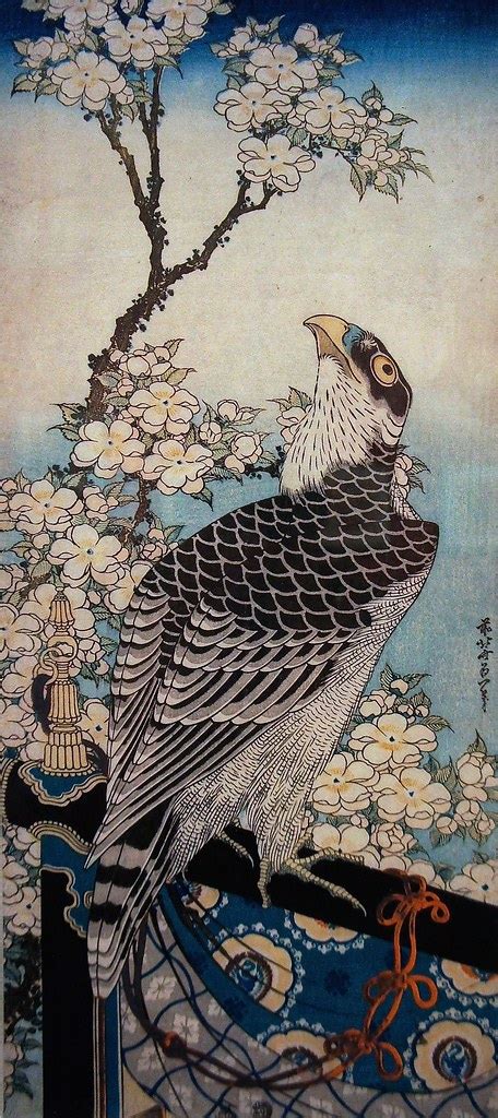 Hawk And Cherry Blossoms Katsushika Hokusai About 1834 Flickr