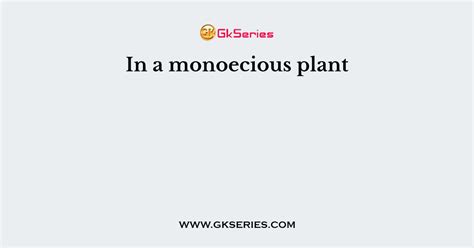 In a monoecious plant