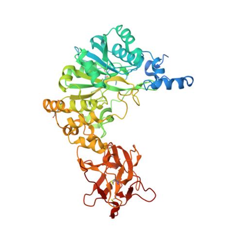 Rcsb Pdb V Q Crystal Structure Of Mgalnac T In Complex With The