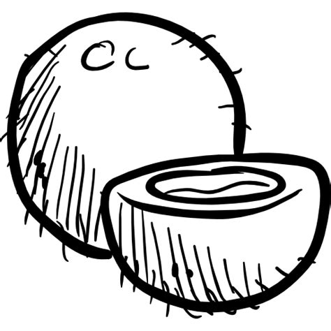 Coconut Hand Drawn Black Icon