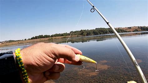 Permiso De Pesca Deportiva En Morelia Permisodepesca