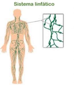 O que é Linfedema lobatocirurgiavascular br