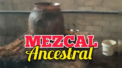 Cómo se destila el MEZCAL ancestral en los VALLES de OAXACA YouTube