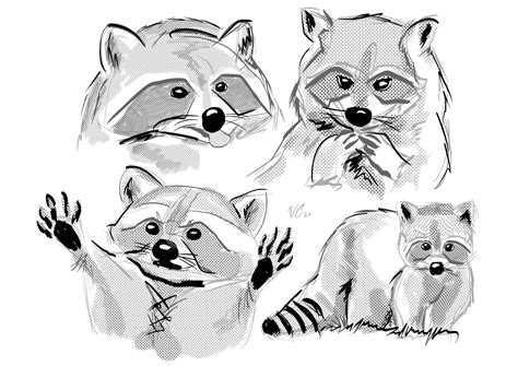 Trash Pandas Sketchbook Krita Artists