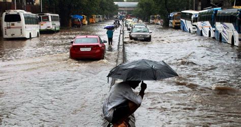 Rain In Maharashtra More Than 100 Mm Rain In Nearly Six Districts Of