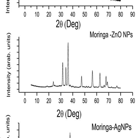 Scanning Electron Microscope Sem Images Of Gm Moringa Zno Nps And