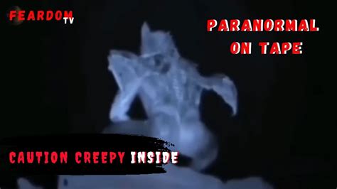 The Bizarre Paranormal And Creepy Tik Tok Mix 69 Youtube