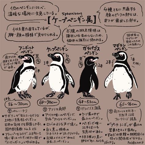 「4月25日は 世界ペンギンの日 ついに明日ということで、今日もペンギンを情報量多め主観もありで紹介していき」きゅう🐧