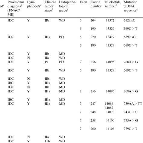 Clinico Epidemiological Details And Nature Of Tp53 Mutations In