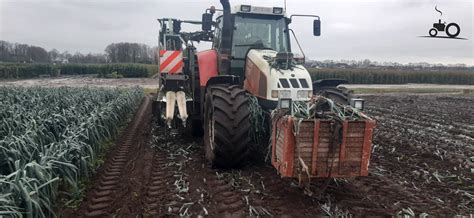 Voorraad Prei Rooien Voor De Vorst