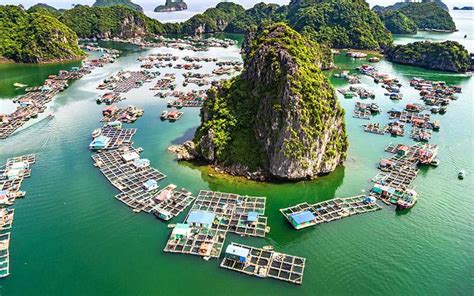 Consejos Para Elegir Un Buen Crucero En La Bahía De Ha Long Mundo Asia